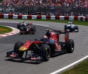 Rompicapo di Jaime Alguersuari - Toro Rosso - Montreal 2010