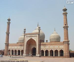 Rompicapo di Jama Masjid, India