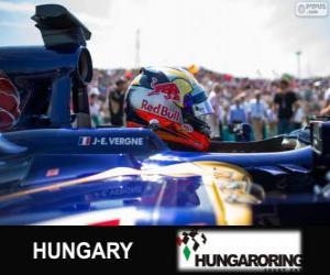 Rompicapo di Jean-Eric Vergne - Toro Rosso - Hungaroring, 2013