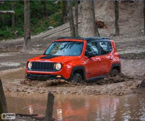 Rompicapo di Jeep Renegade 2015