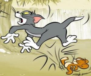 Rompicapo di Jerry dà un calcio nel posteriore di Tom