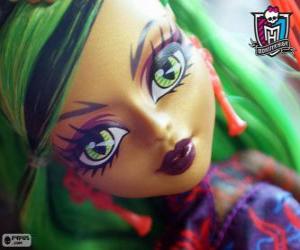 Rompicapo di Jinafire Long, Monster High