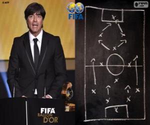 Rompicapo di Joachim Loew FIFA 2014 di allenatore di calcio maschile