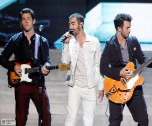 Rompicapo di Jonas Brothers 2013