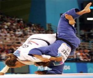 Rompicapo di Judo - Due lottatori di judo pratichant