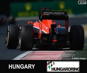 Rompicapo di Jules Bianchi - Marussia - Hungaroring, 2013