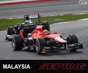 Rompicapo di Jules Bianchi - Marussia - Sepang 2013