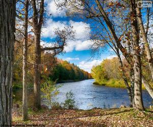 Rompicapo di Jumbo River, Stati Uniti d'America