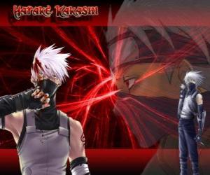 Rompicapo di Kakashi Hatake, maestro di ninja