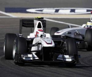 Rompicapo di Kamui Kobayashi - BMW Sauber - Bahrain 2010