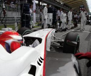 Rompicapo di Kamui Kobayashi - BMW Sauber - Sepang 2010