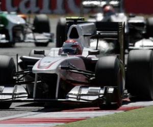 Rompicapo di Kamui Kobayashi-Sauber - Silverstone 2010