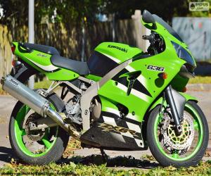 Rompicapo di Kawasaki Ninja ZX-6R (2002)