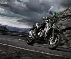 Rompicapo di Kawasaki Z1000 2014