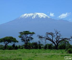 Rompicapo di Kilimanjaro, Tanzania