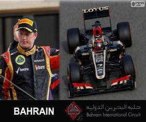 Rompicapo di Kimi Räikkönen - Lotus - Gran Premio Bahrain 2013, 2º classificato