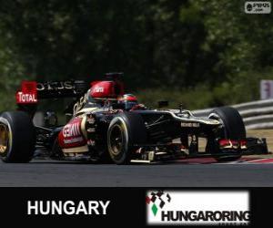 Rompicapo di Kimi Räikkönen - Lotus - Gran Premio d'Ungheria 2013, 2º classificato