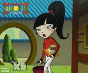 Rompicapo di Kimiko Tohomiko, Xiaolin Drago di Fuoco, l'unica ragazza nella squadra