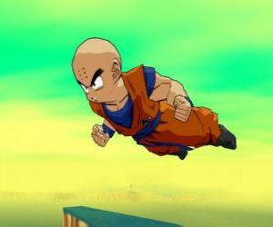 Rompicapo di Krillin è partner di Goku e migliore amica.