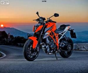 Rompicapo di KTM 1290 Superduke R 2014