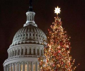 Rompicapo di l'albero di Natale Campidoglio