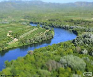 Rompicapo di L'Ebro, Tarragona