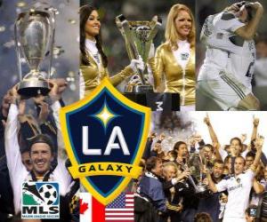 Rompicapo di LA Galaxy, campione della MLS 2011