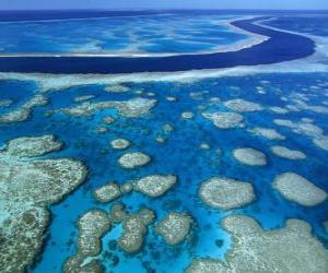 Rompicapo di La Grande Barriera Corallina, le barriere coralline in tutto il mondo più grande. Australia.