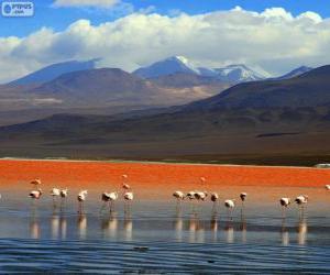 Rompicapo di La Laguna Colorada, Bolivia