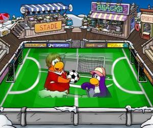 Rompicapo di La partita di calcio dil Club Penguin