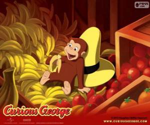 Rompicapo di La scimmia George mangia una banana