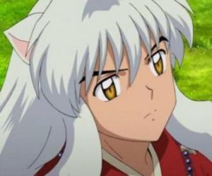 Rompicapo di La testa di Inuyasha con i suoi lunghi capelli