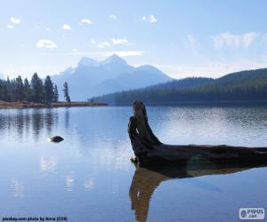 Rompicapo di Lago Maligne, Canada