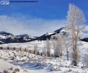 Rompicapo di Lamar Valley, parco nazionale di Yellowstone, Wyoming, Stati Uniti