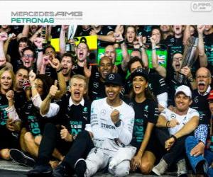 Rompicapo di Lewis Hamilton, campione del mondo di F1 2014 con Mercedes