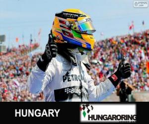 Rompicapo di Lewis Hamilton festeggia la sua vittoria nel Gran Premio d'Ungheria 2013