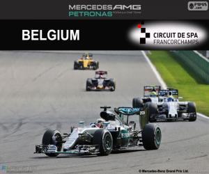 Rompicapo di Lewis Hamilton, GP Belgio 2016