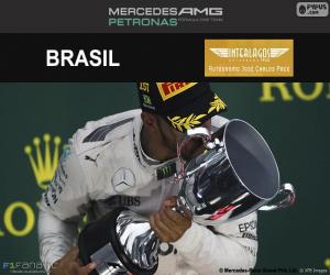 Rompicapo di Lewis Hamilton, GP Brasile 2016