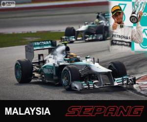 Rompicapo di Lewis Hamilton - Mercedes - Gran Premio della Malesia 2013, 3 ° classificato