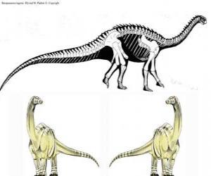 Rompicapo di Lo zizhongosauro è un dinosauro erbivoro appartenente ai sauropodi