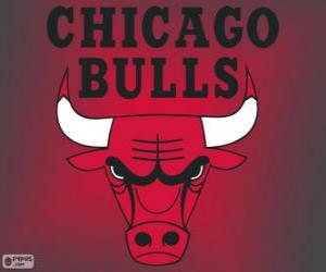 Rompicapo di Logo Chicago Bulls, squadra NBA. Central Division, Eastern Conference