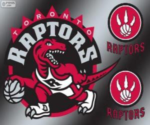 Rompicapo di Logo di Toronto Raptors, squadra NBA. Atlantic Division, Eastern Conference