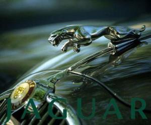 Rompicapo di Logo Jaguar, marchio inglese di auto di lusso e auto sportive