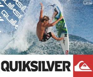 Rompicapo di Logo Quiksilver