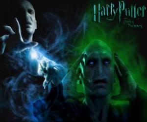 Rompicapo di Lord Voldemort è il principale nemico di Harry Potter