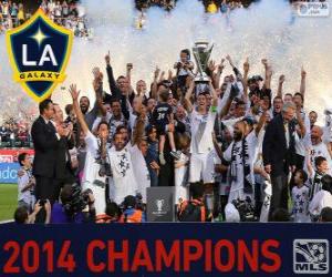 Rompicapo di Los Angeles Galaxy, campione MLS 2014