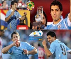 Rompicapo di Luis Suarez miglior giocatore della Coppa America 2011