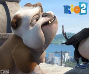 Rompicapo di Luiz nel film Rio 2