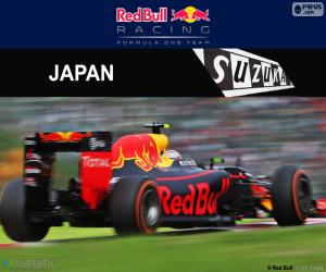 Rompicapo di M. Verstappen, GP Giappone 2016