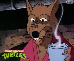 Rompicapo di Maestro Splinter, il topo mutante é il Maestro sensei delle Tartarughe Ninja